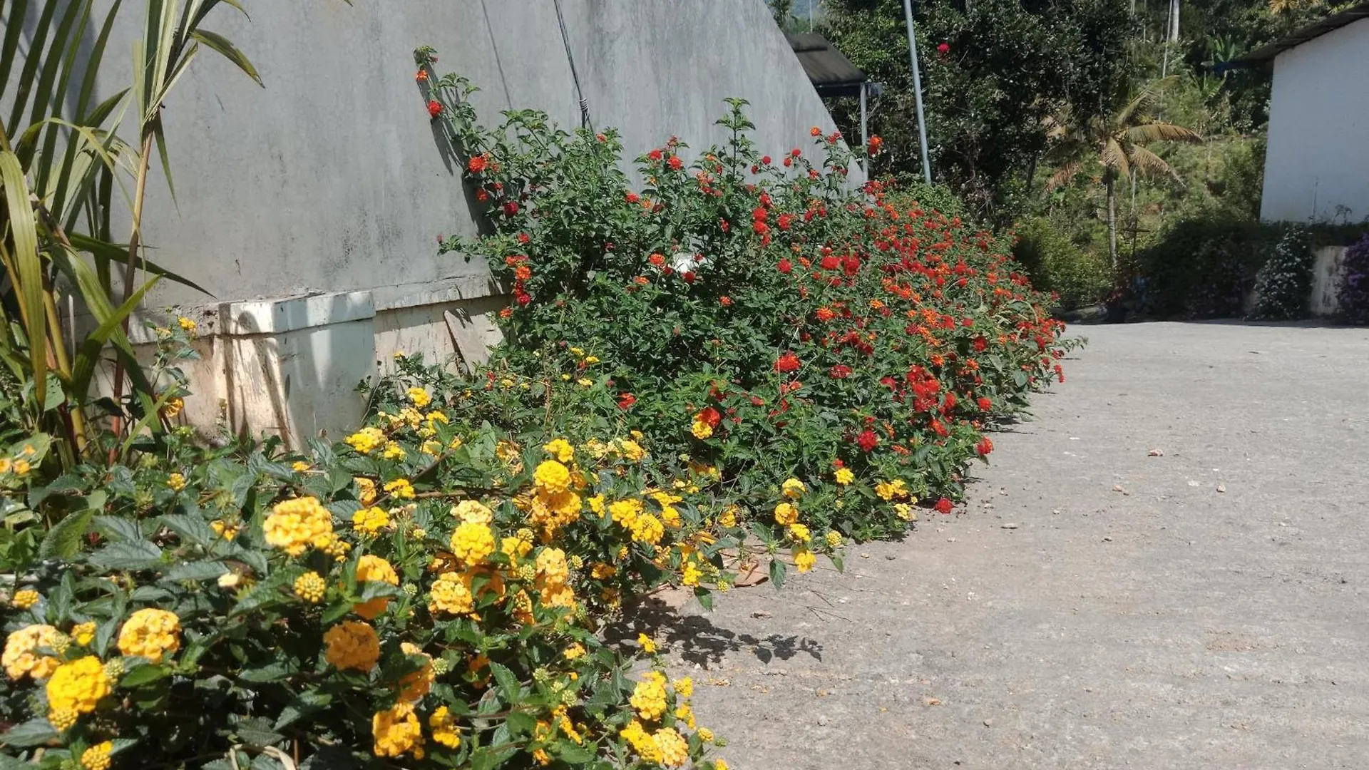 בית אירוח Anachal New Serene Mountains Munnar
